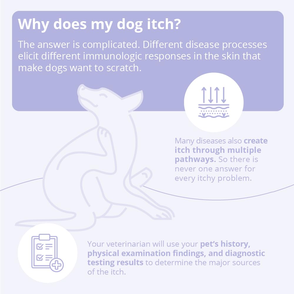 8 oz Dog and Cat Shampoo Z770018