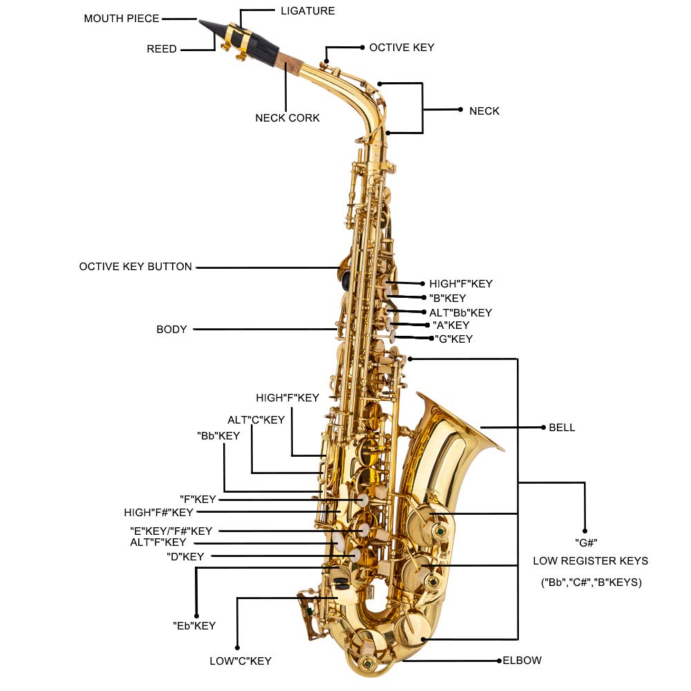 Alto Saxophone A8219