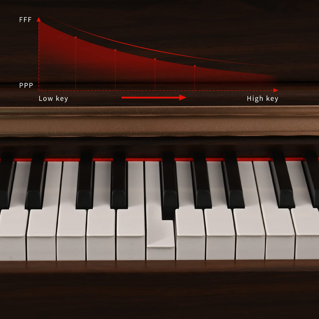 88 Key Full Weighted Digital Piano with Triple Pedal R4558