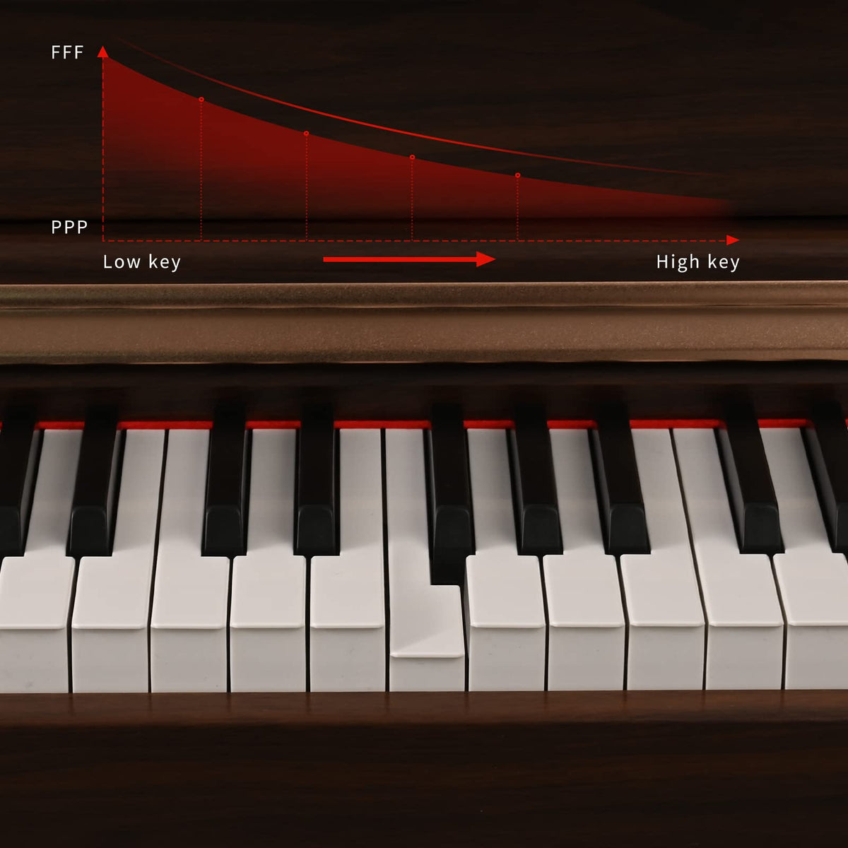 88 Key Full Weighted Digital Piano with Triple Pedal R4558
