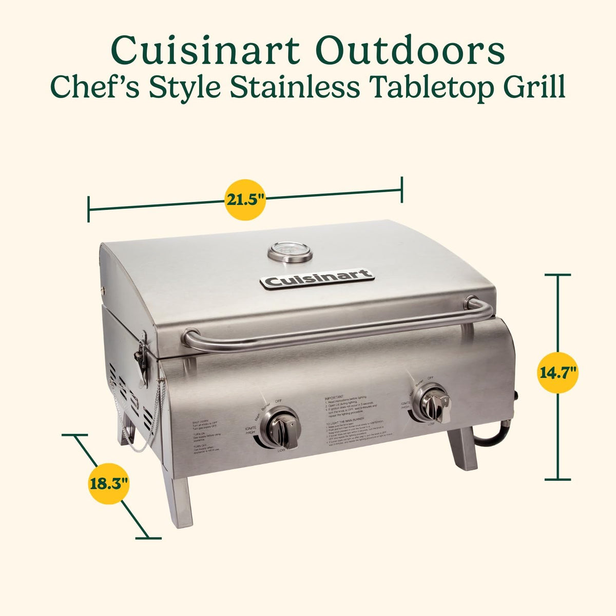 Portable 2-Burner Outdoor Gas Grill W98924