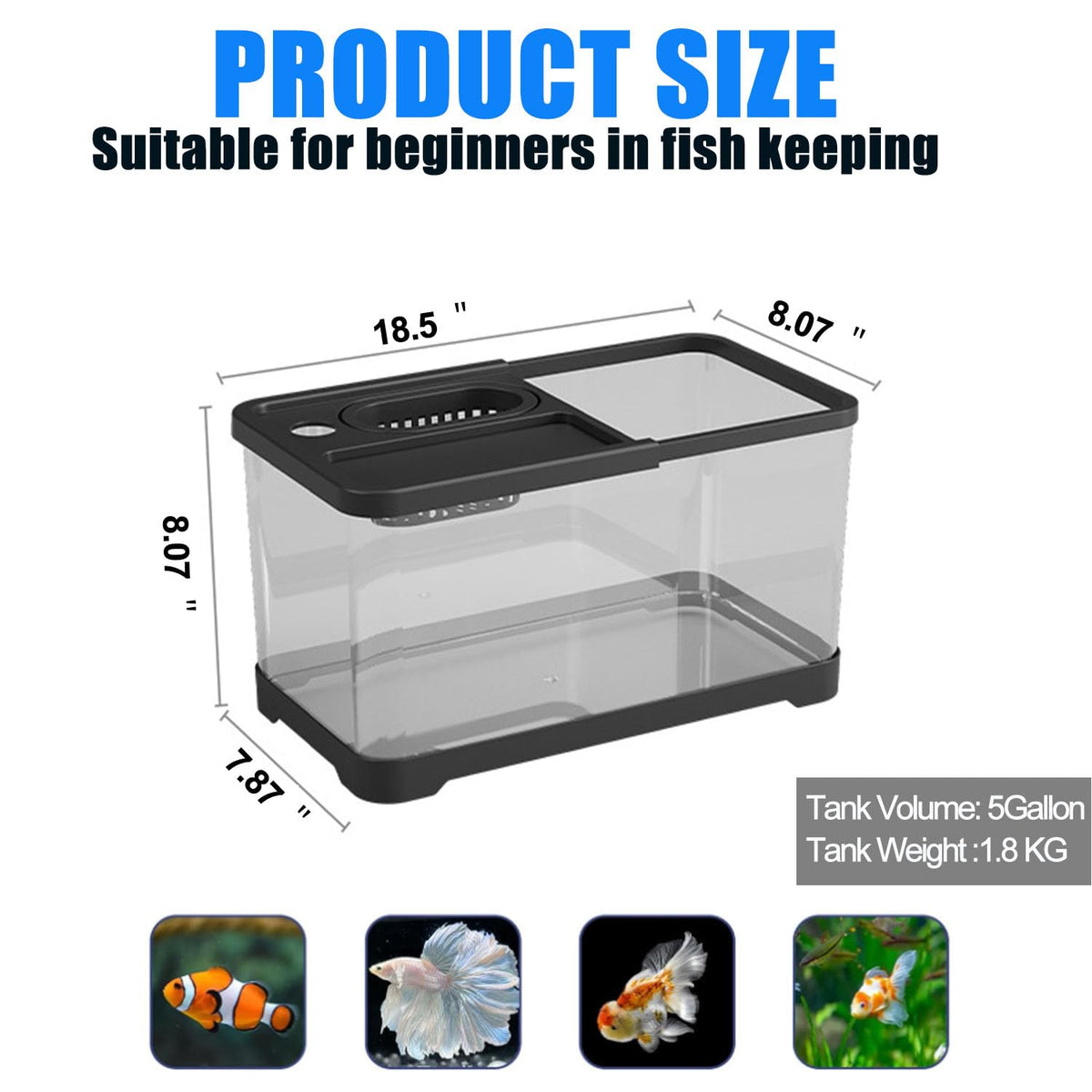 5 Gallon Plastic Aquarium Starter Kit with Filter and LED Light Q83063