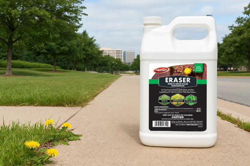 1 Gallon Weed & Grass Killer Concentrate R216115