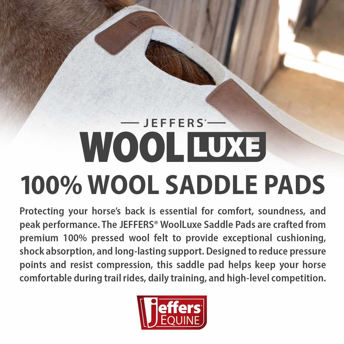 100% Wool Felt Saddle Pad W786