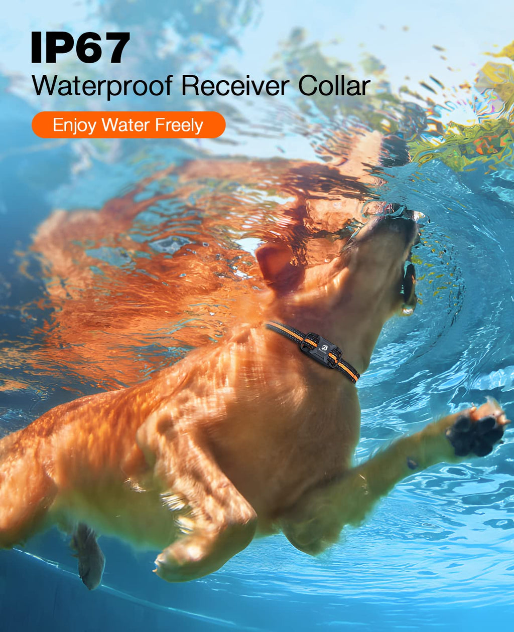 Rechargeable Waterproof Dog Training Collar with Remote W5072