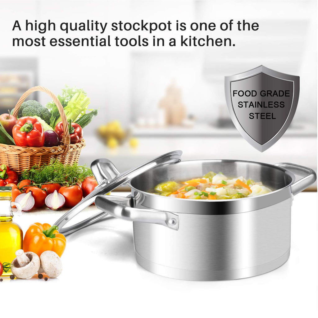 Stainless Steel 4.2 Qt Stock Pot with Lid V33244