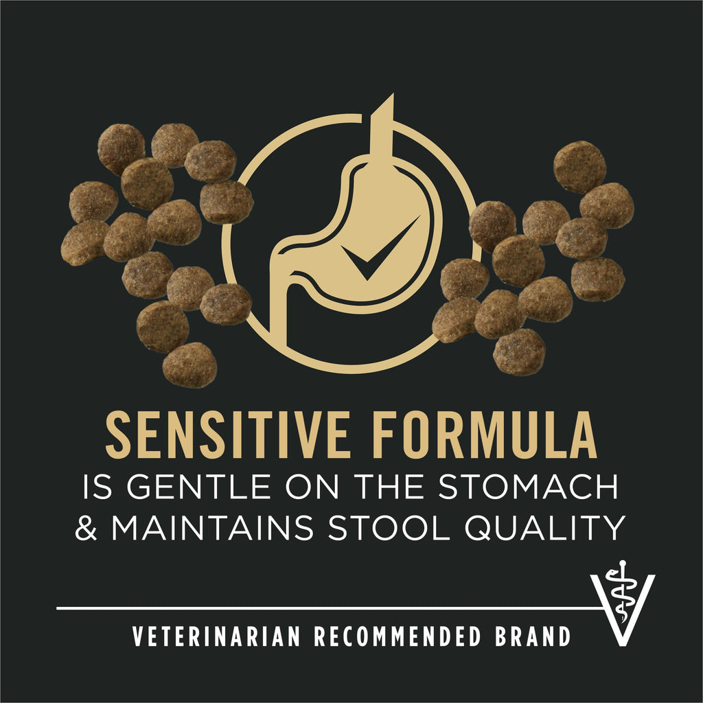 Sensitive Skin & Stomach Puppy Dog Food 24 lb Bag B343619