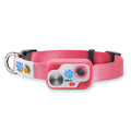 Automatic Pet Door N798