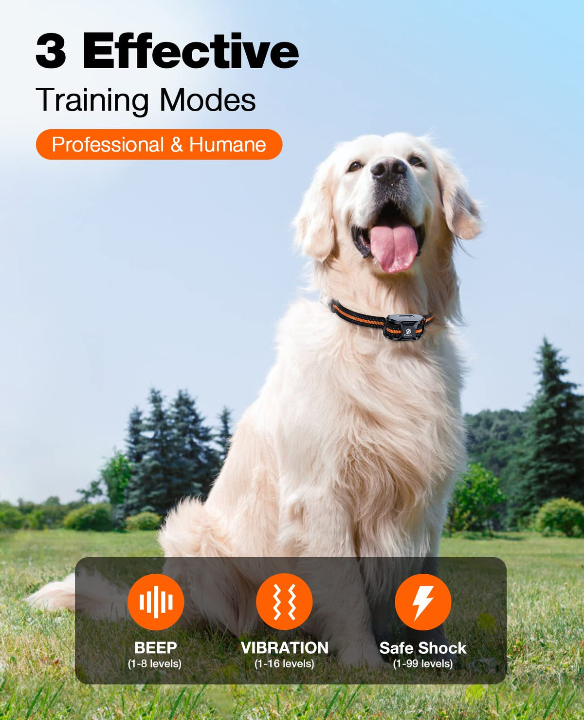 Rechargeable Waterproof Dog Training Collar with Remote W5072