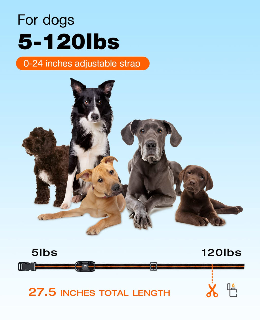 Rechargeable Waterproof Dog Training Collar with Remote W5072