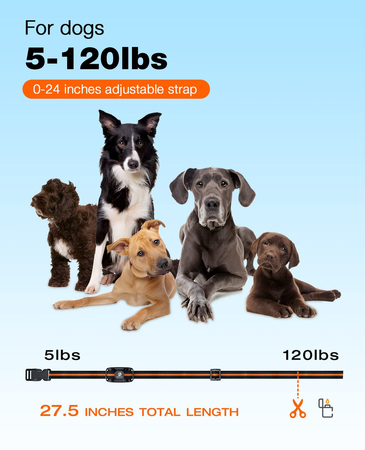 Rechargeable Waterproof Dog Training Collar with Remote W5072