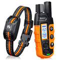 Rechargeable Waterproof Dog Training Collar with Remote W5072