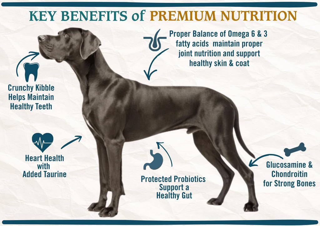 Large Breed Adult Dry Dog Food Chicken Brown Rice Turkey 28lb Q9624