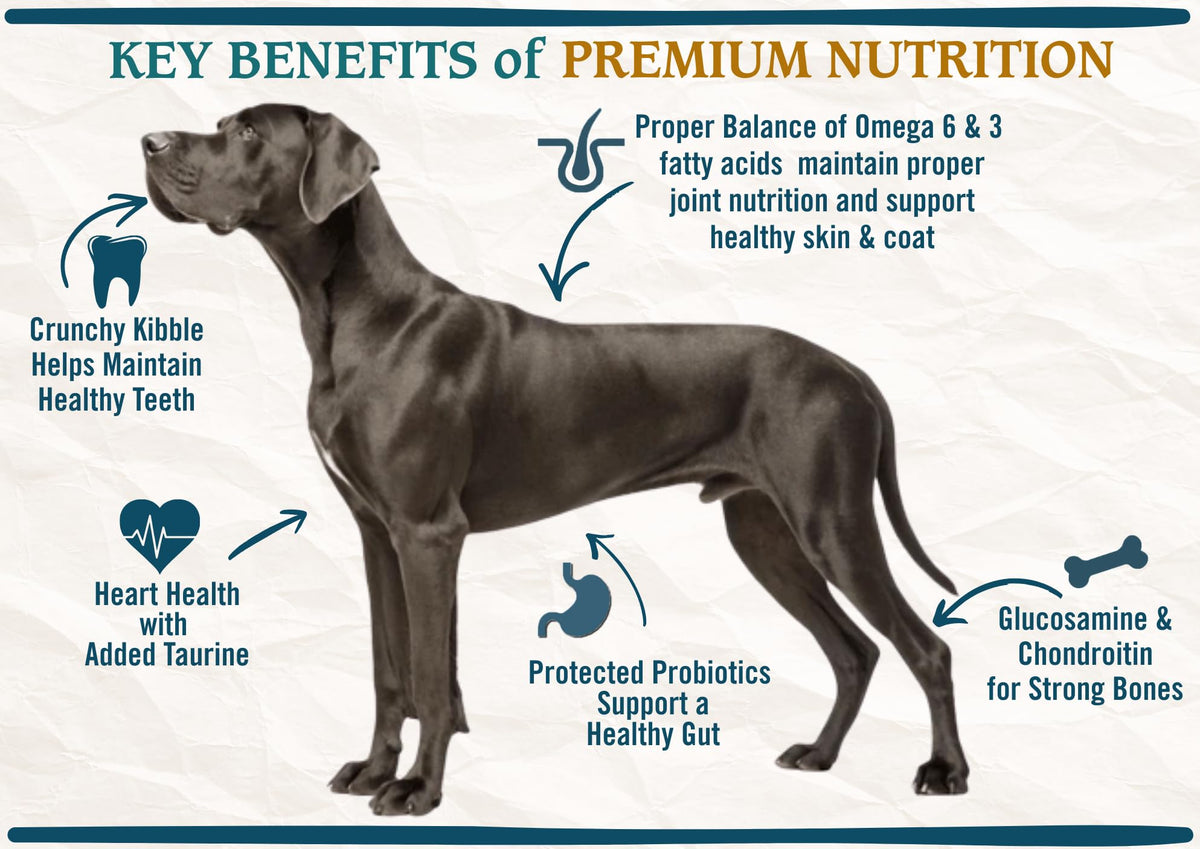 Large Breed Adult Dry Dog Food Chicken Brown Rice Turkey 28lb Q9624