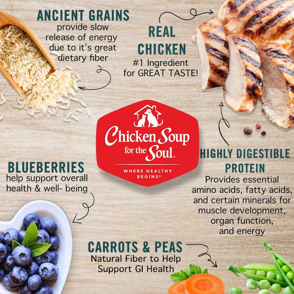 Large Breed Adult Dry Dog Food Chicken Brown Rice Turkey 28lb Q9624