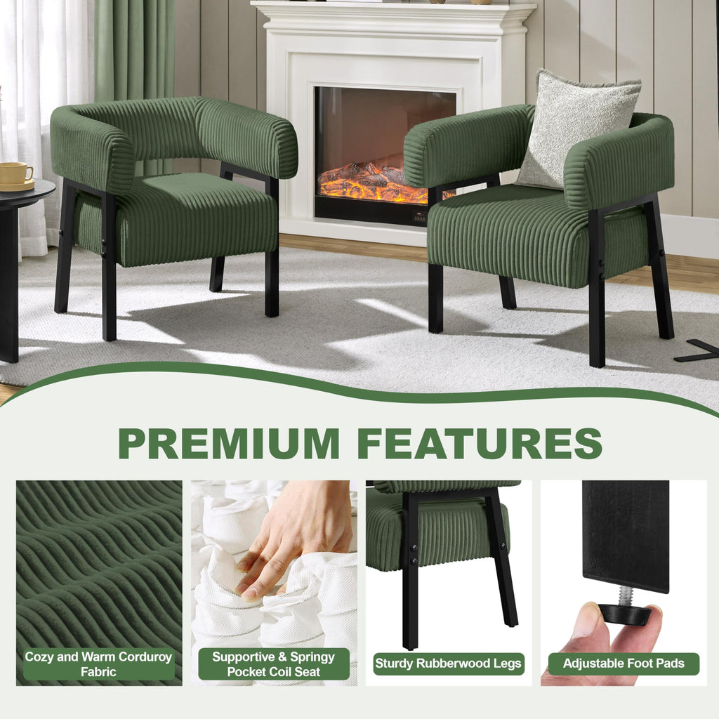 Accent Living Room Chair Set of 2 R4404