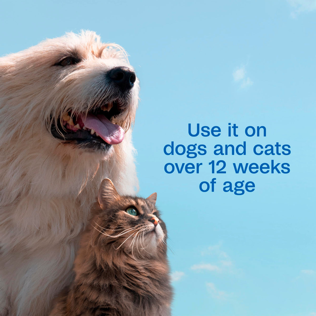 Plus Pyrethrin Flea Dip For Dogs and Cats 4 Fl oz W858