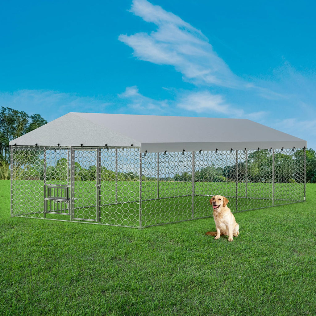 10×20FT Heavy Duty Chain Link Dog Kennel with Roof P832