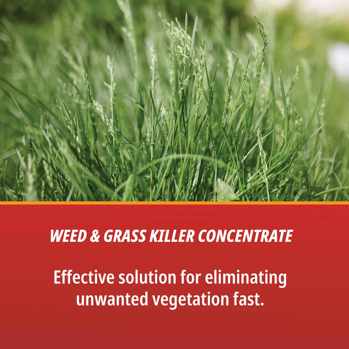 1 Gallon Weed & Grass Killer Concentrate R216115