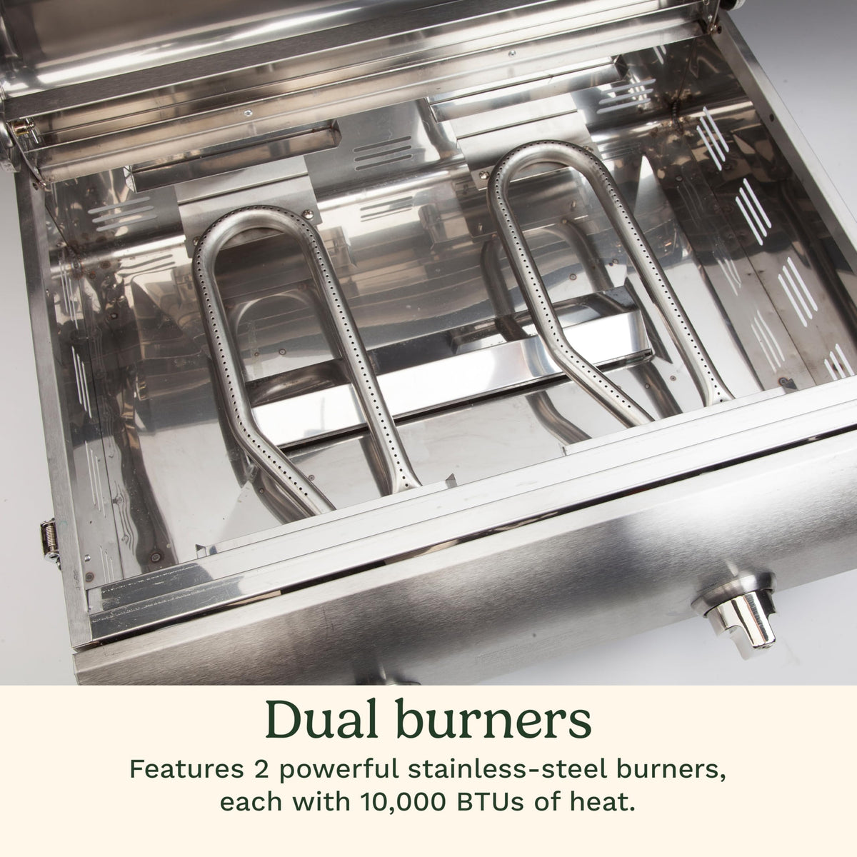 Portable 2-Burner Outdoor Gas Grill W98924