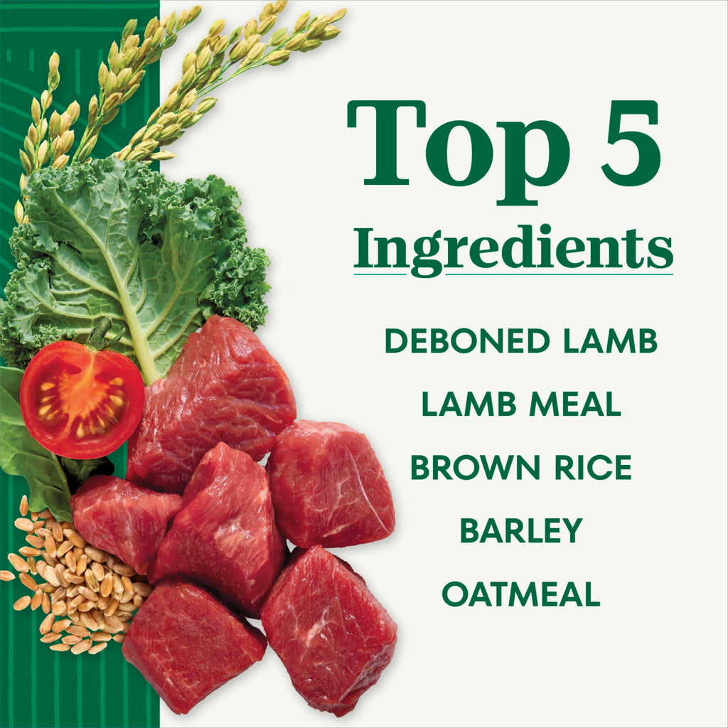 Adult Dry Dog Food, Lamb & Brown Rice Recipe, 36 lb J86241