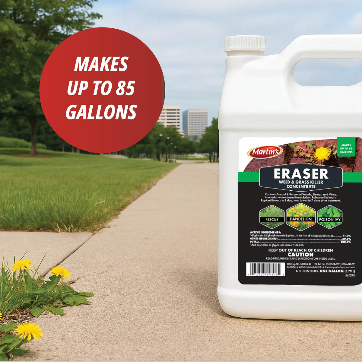 1 Gallon Weed & Grass Killer Concentrate R216115