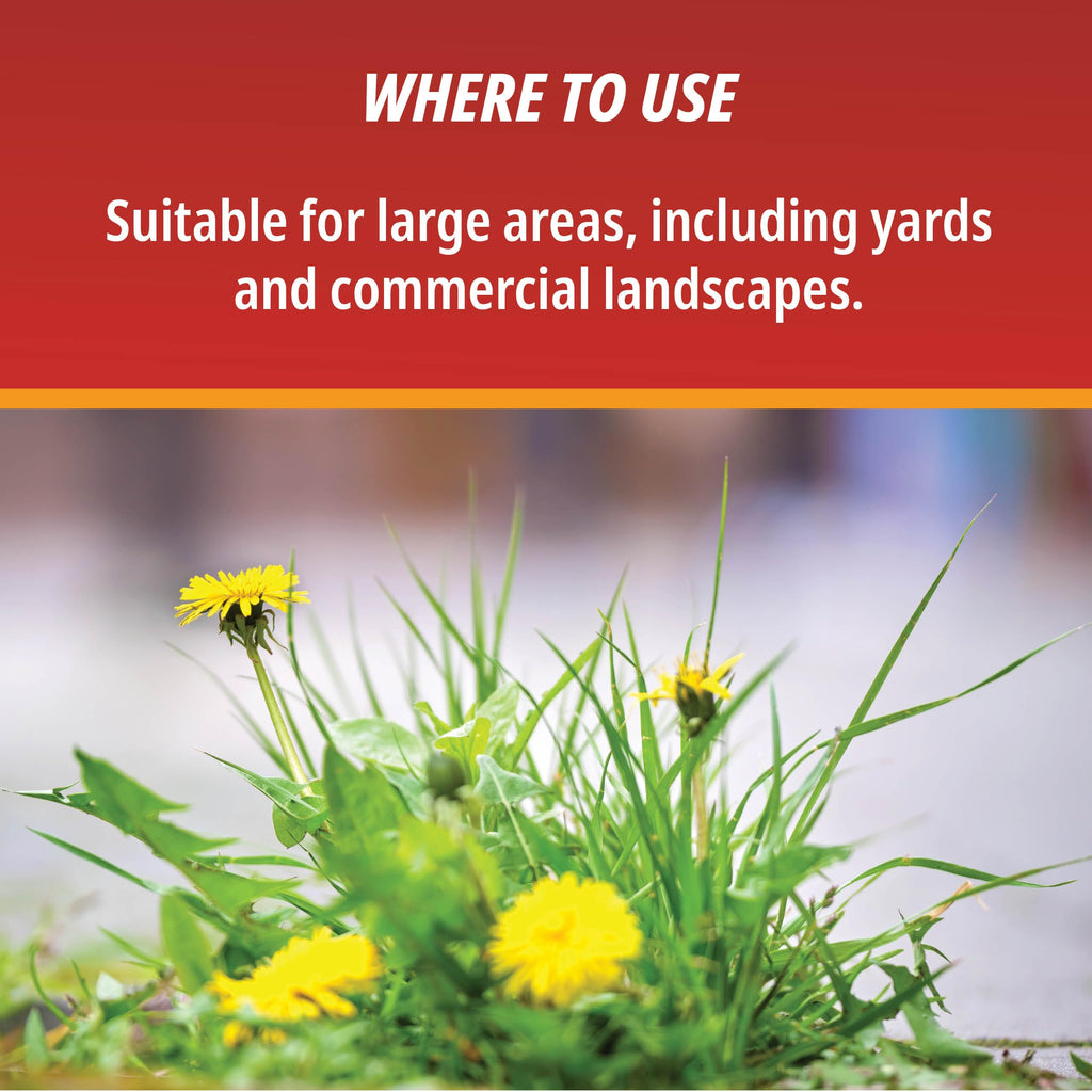 1 Gallon Weed & Grass Killer Concentrate R216115