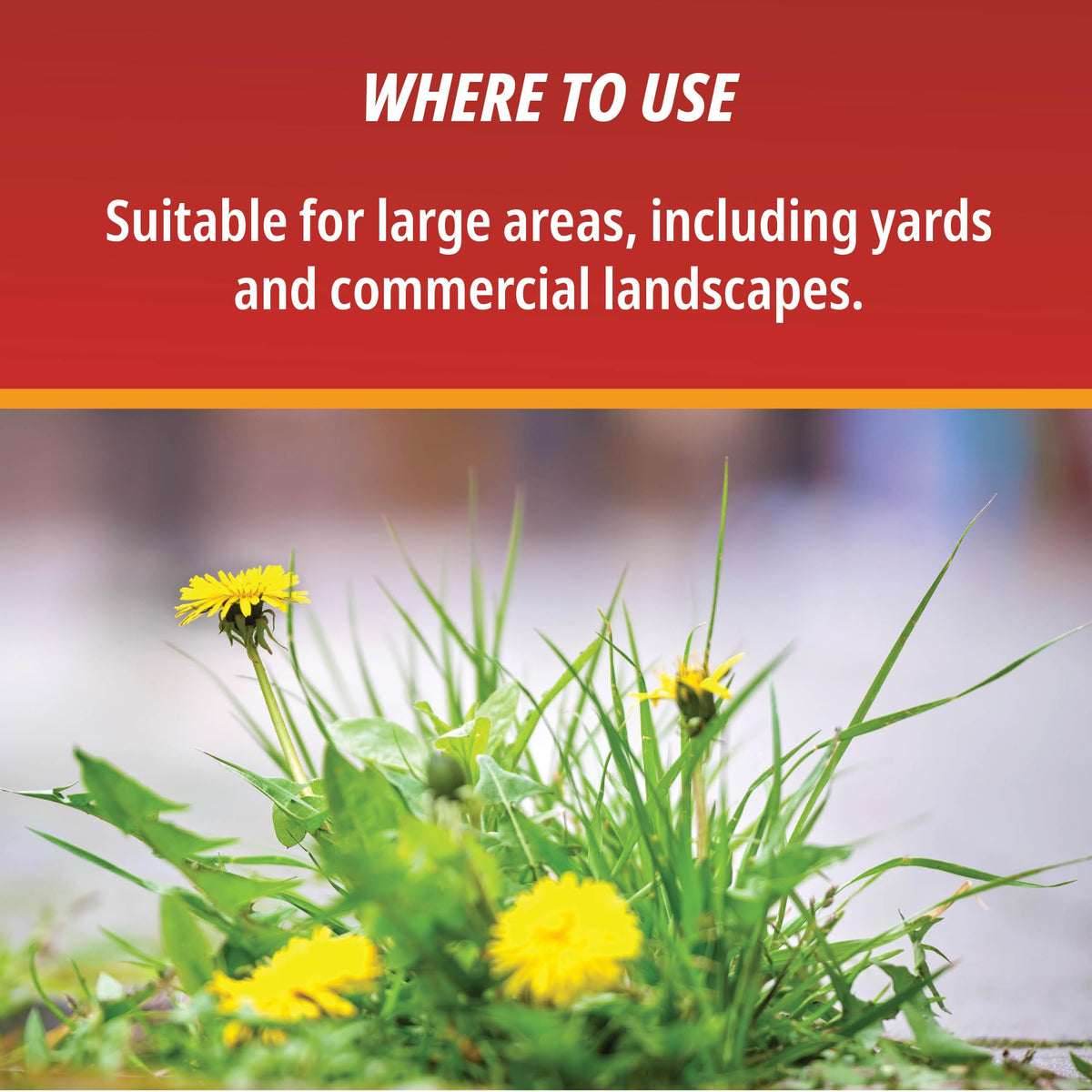 1 Gallon Weed & Grass Killer Concentrate R216115