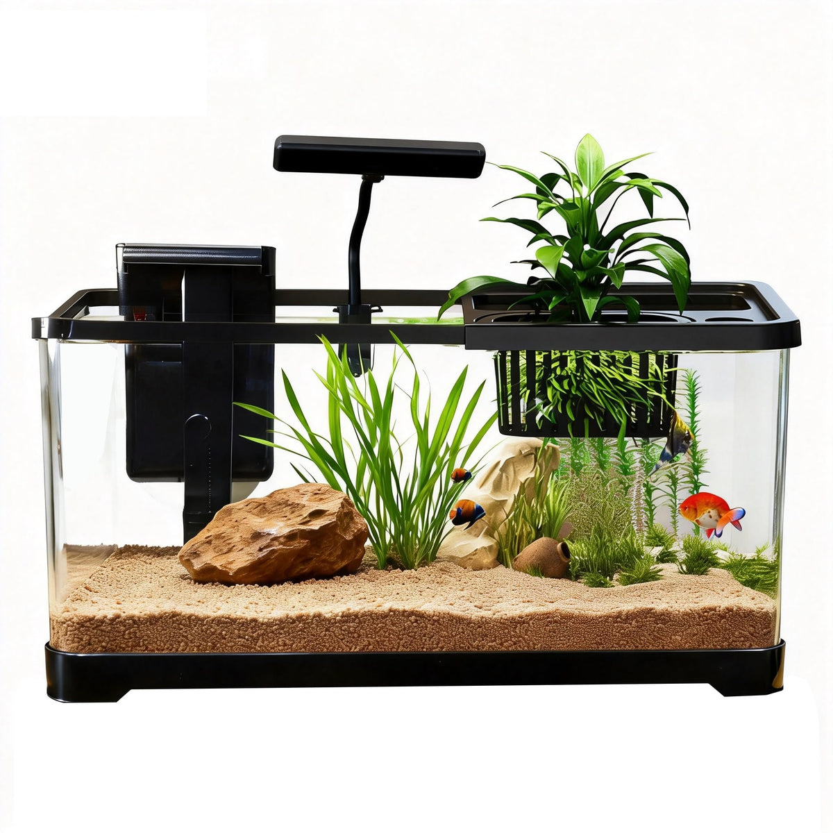 5 Gallon Plastic Aquarium Starter Kit with Filter and LED Light Q83063