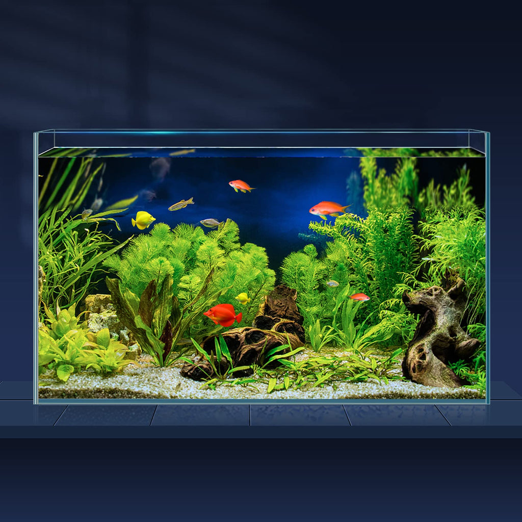 10 Gallon Ultra Clear Rimless Low Iron Glass Fish Tank N573