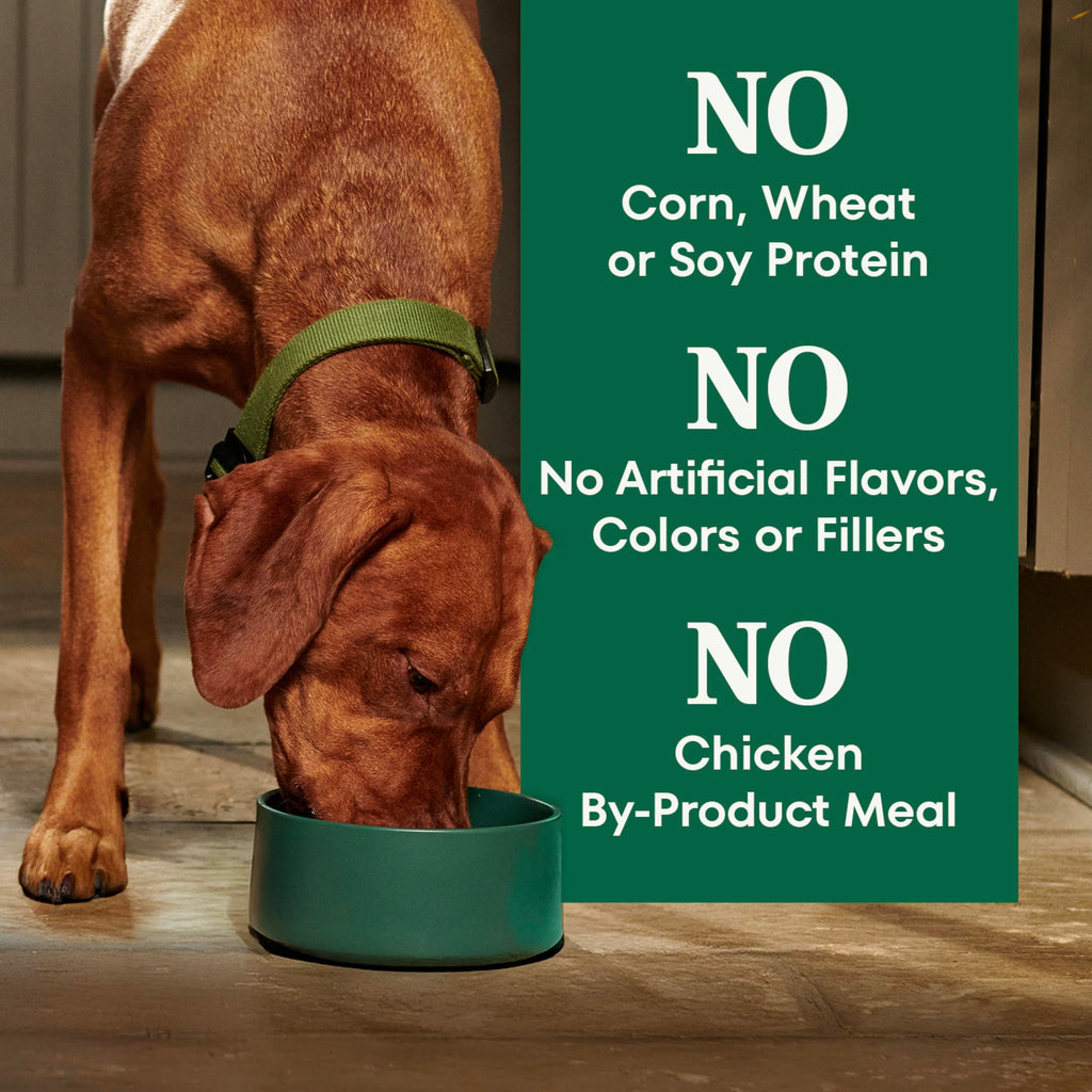 Adult Dry Dog Food, Lamb & Brown Rice Recipe, 36 lb J86241