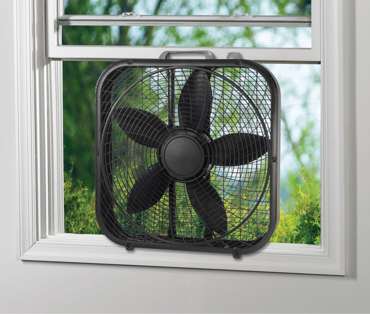 20" Weather Resistant Box Fan, 3-Speeds, Black C302