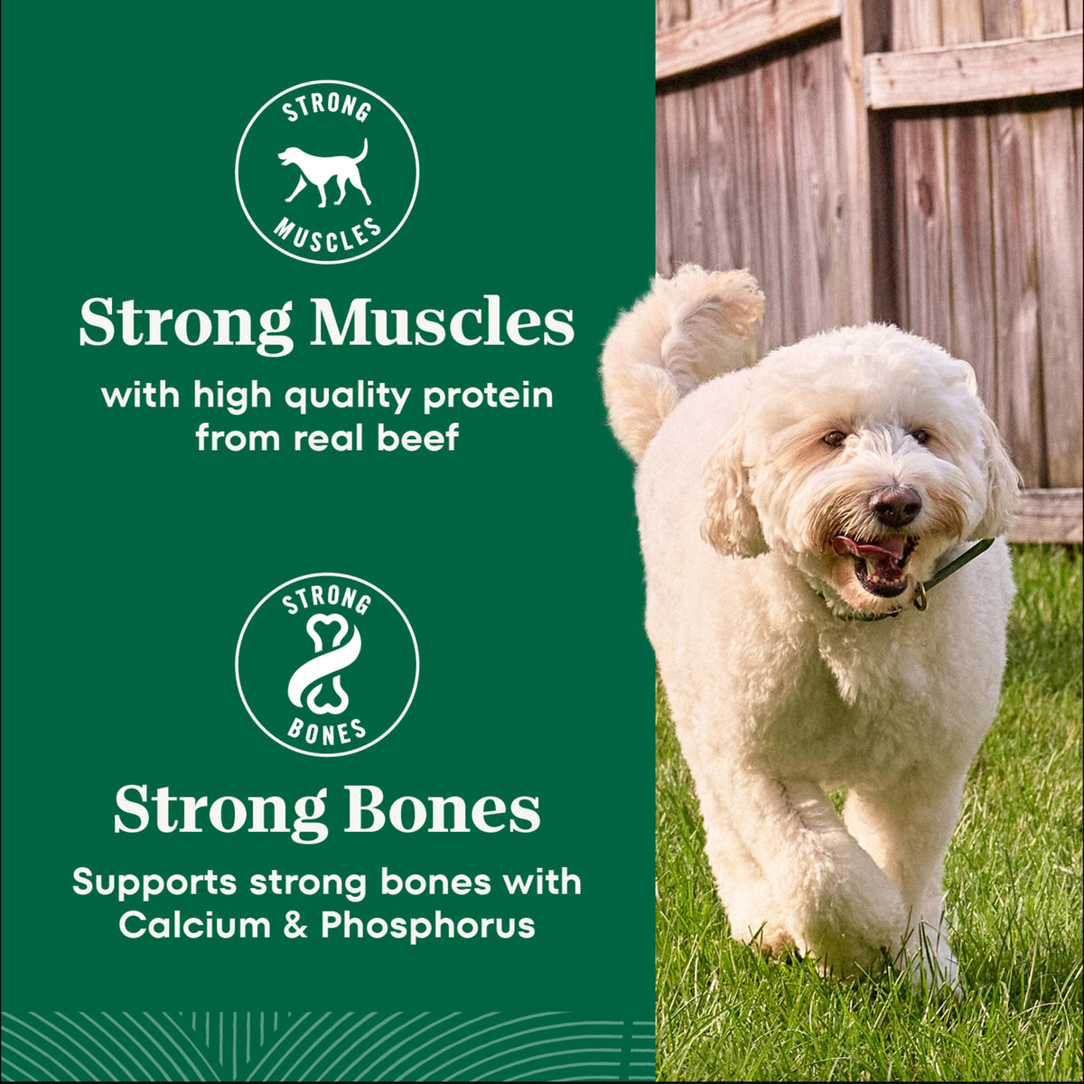 Adult Dry Dog Food, Lamb & Brown Rice Recipe, 36 lb J86241