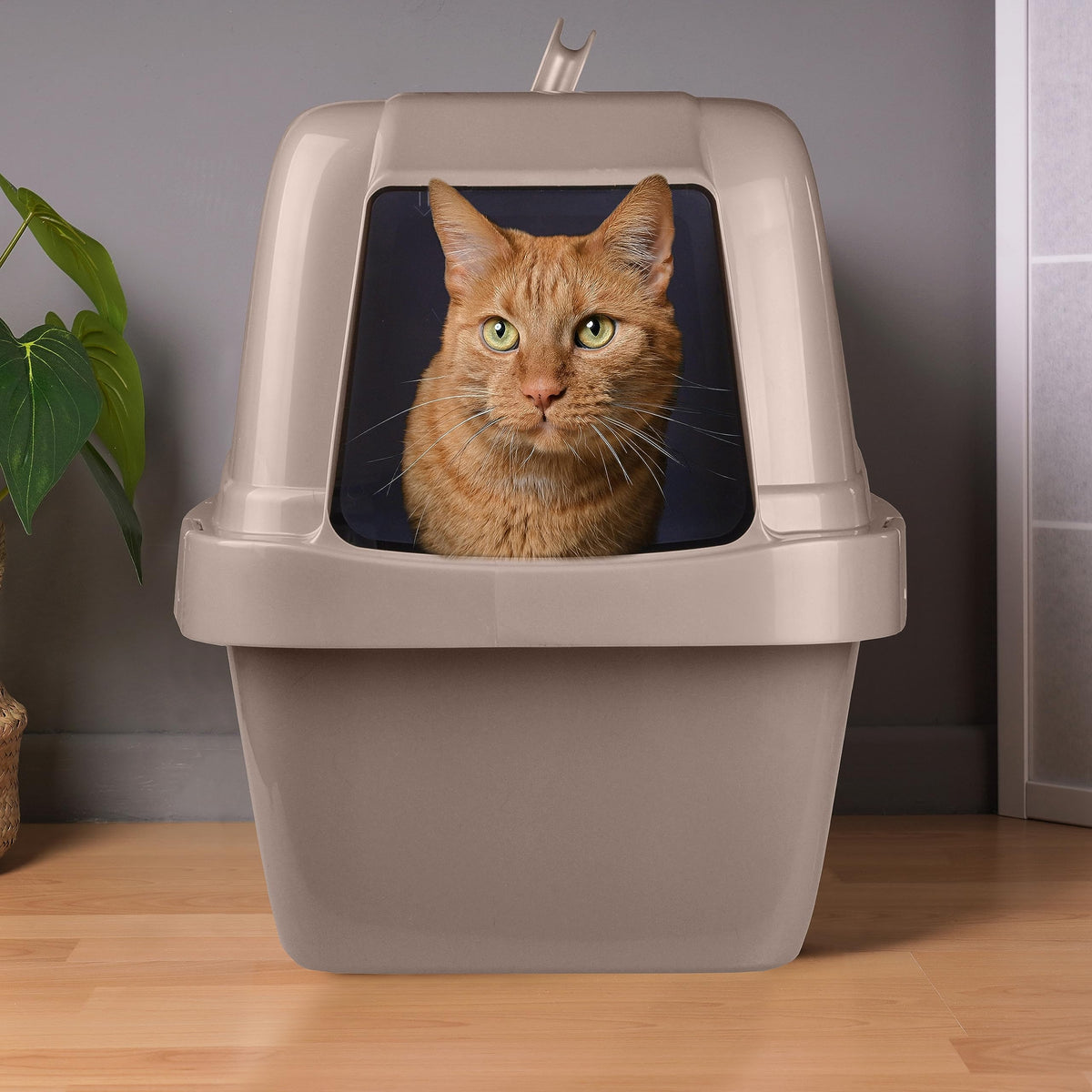 Large Enclosed Sifting Cat Pan with Odor Door, Hooded, Beige P99170