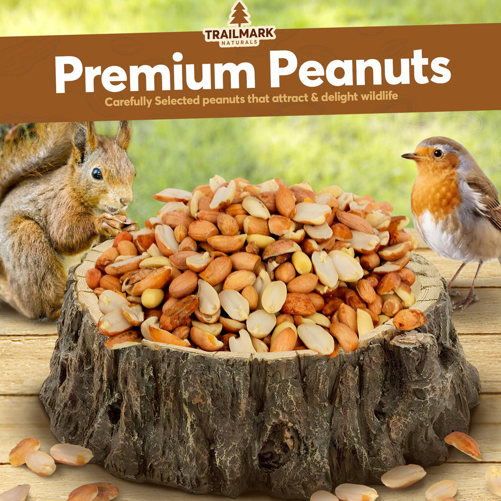 Raw Shelled Peanuts L19959