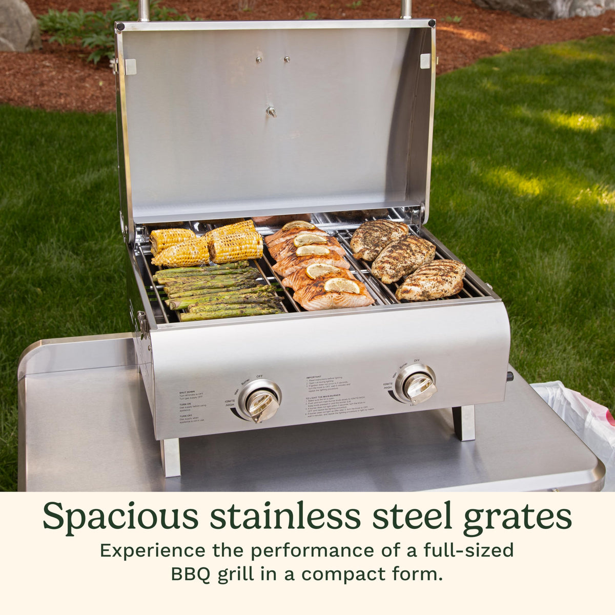 Portable 2-Burner Outdoor Gas Grill W98924