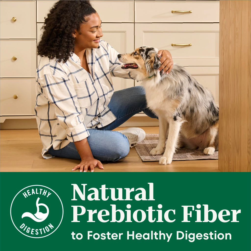 Adult Dry Dog Food, Lamb & Brown Rice Recipe, 36 lb J86241