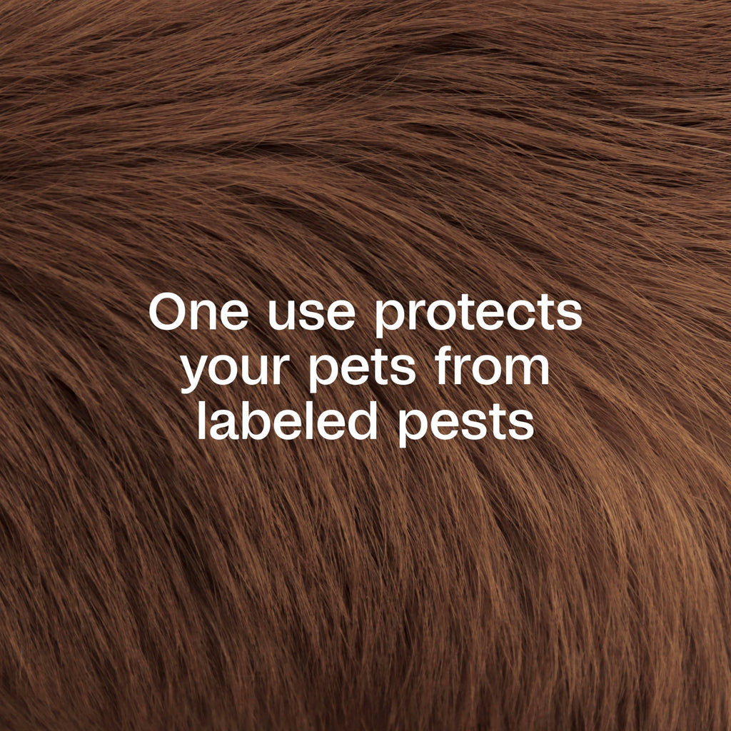 Plus Pyrethrin Flea Dip For Dogs and Cats 4 Fl oz W858