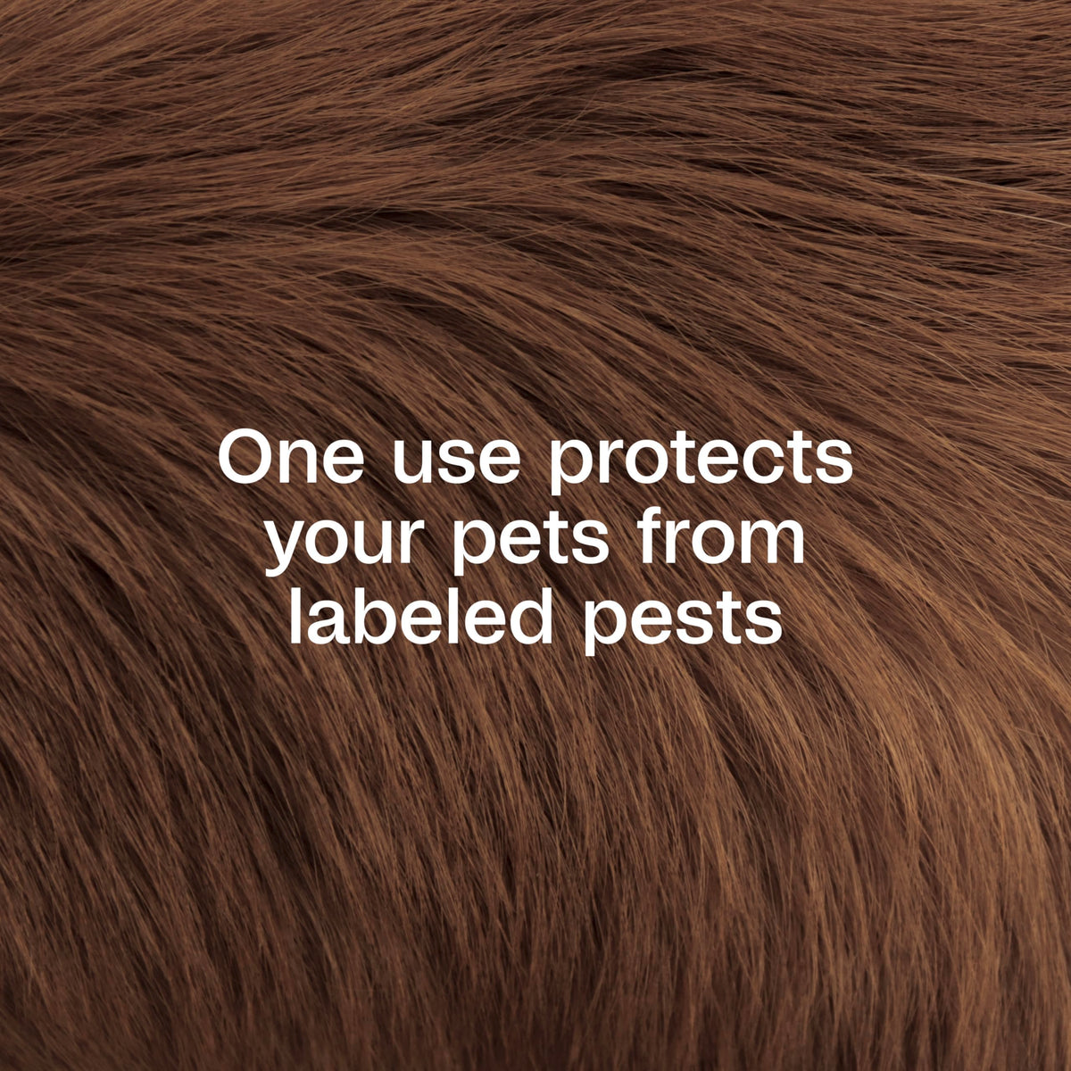 Plus Pyrethrin Flea Dip For Dogs and Cats 4 Fl oz W858