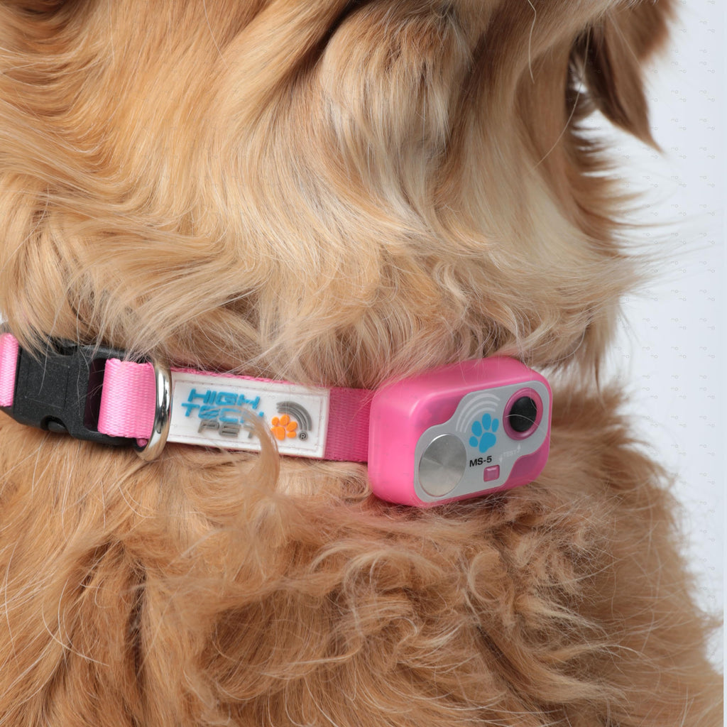 Automatic Pet Door N798