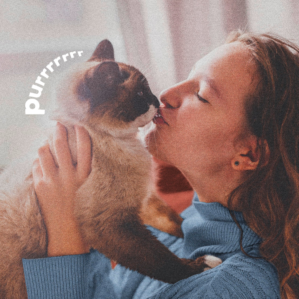 Plus Pyrethrin Flea Dip For Dogs and Cats 4 Fl oz W858